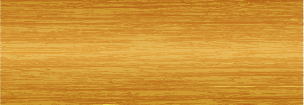 CL 301